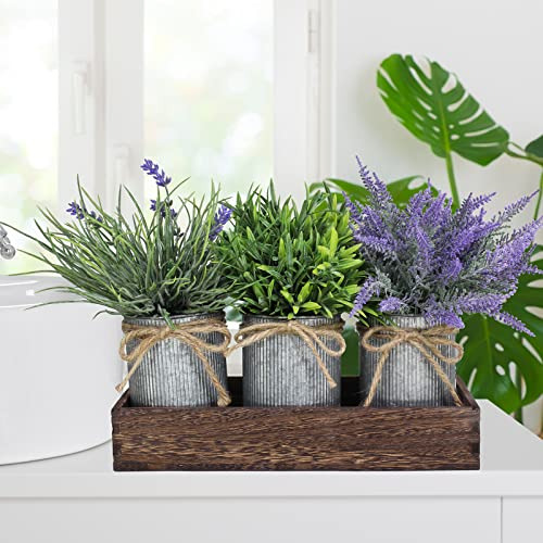 Conjunto 3 Plantas Artificiales En Macetas Galvanizadas Con