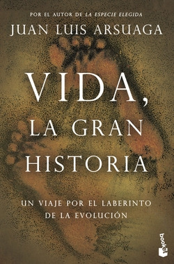 Libro Vida La Gran Historia Un Viaje Por El Laberinto De La