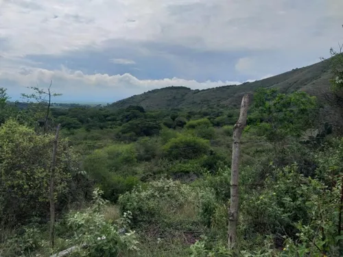 Finca En Venta En Yotoco. Cod V8605