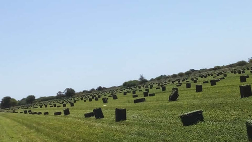 Fardos De Alfa Santiago Del Estero