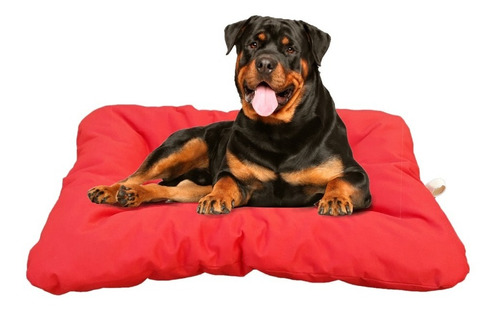 Colchon Cama Colchoneta Antidesgarro Perro Mascota S