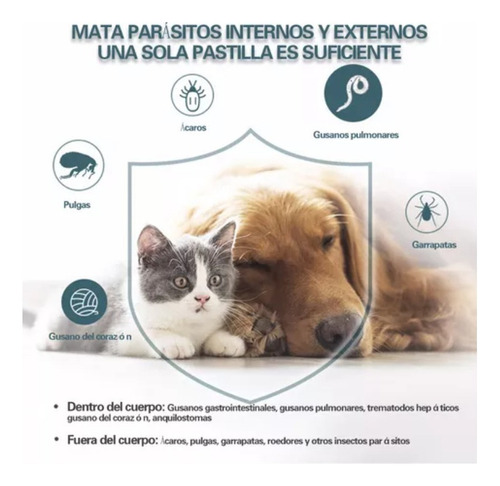 V Comprimidos Para Parásitos Externos/internos De Perros