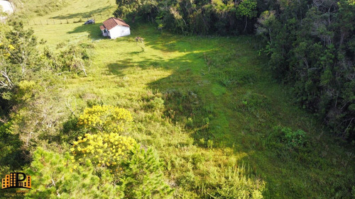 Imagem 10 de 30 de Chácara À Venda 7.500m2 Terreno Contendo Agua, Energia Elétrica, Casa Localizada Na Estrada Dos Borges Bairro Barrinha - São Lourenço Da Serra/sp - Ch07793 - 70644167