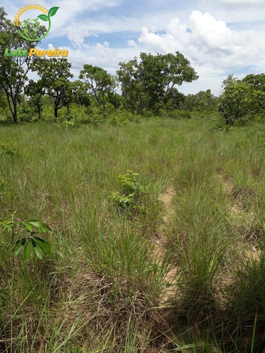 Imagem 9 de 15 de Fazenda À Venda Em São Valério - To - De 624 Hectares (dupla Aptidão) - 1777