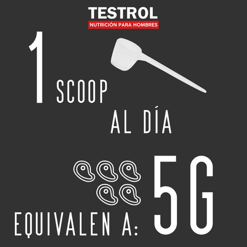 Creatina Monohidrato Essential Testrol 80 Servicios. Sabor Sin sabor