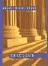 Libro Calculus ( Volumen 1 ) De Salas
