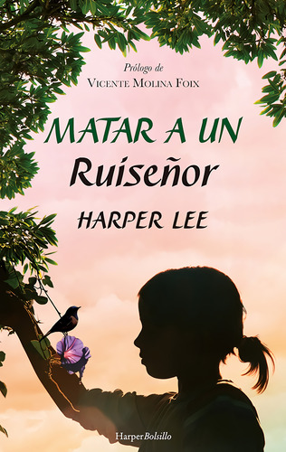 Matar A Un Ruisenor - Harper Lee