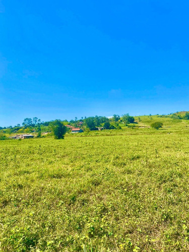 Imagem 13 de 14 de W35 Lote 1000m Na Planta No Interior Leia A Descrição !