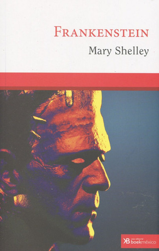 Frankenstein, De Shelley, Mary. Casa Editorial Boek Mexico, Tapa Blanda, Edición 01 En Español, 2016