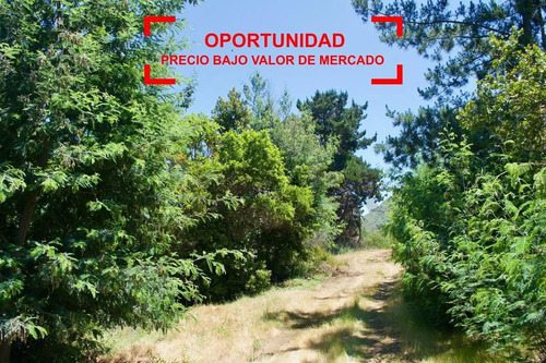 Gran Oportunidad!!!  Precio Bajo Valor De Mercado