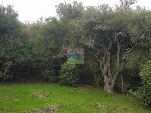 Chacra 6 Hás Garzón Bajo Maldonado