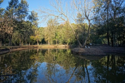 Chacra Con Bosque Natural De 23 Hás. Piscina San José Venta