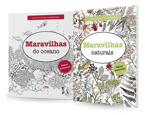 Kit - 2 Livros De Colorir - Maravilhas Naturais E Maravilha, De Editora Novo Seculo. Editora Novo Século Em Português