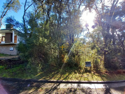 Imagem 5 de 6 de Terreno No Loteamento Vivendas Do Arvoredo - 1056