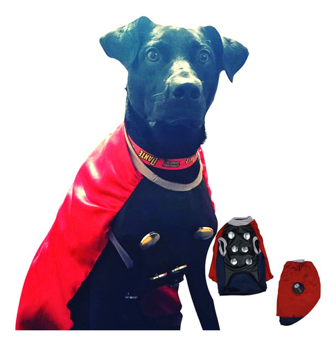 Disfraz De Thor Para Perro Talla Xl