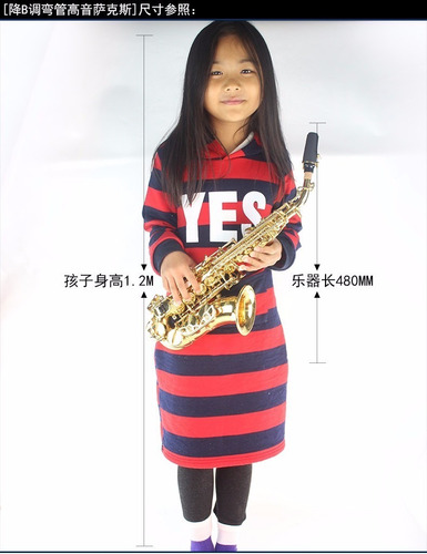 Imagen 5 de 7 de Saxo Soprano Curvo Selmer