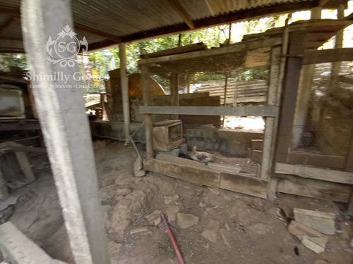 Imagem 7 de 14 de 1.640 M², Casa Com 04 Dormitórios, Churrasqueira E Garagem !