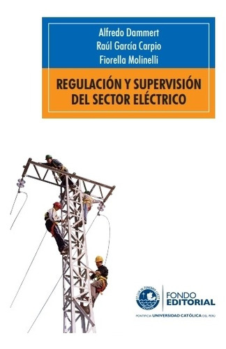 Regulación Y Supervisión Del Sector Eléctrico