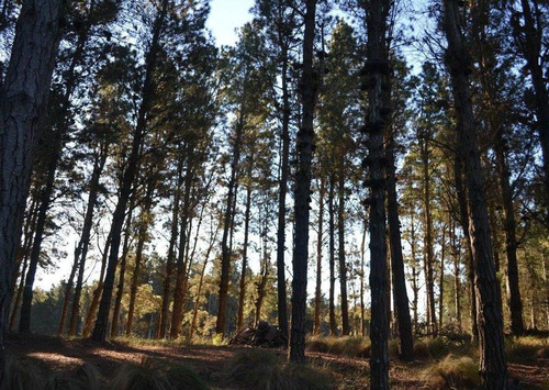 Imagen 2 de 15 de Venta - Lote Con Vista A Laguna En Villa Robles - Barrio Cerrado