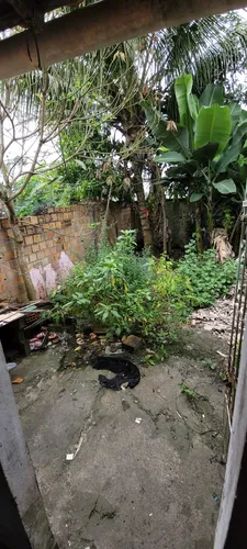 Vendo Casa Em Governador Mangabeira