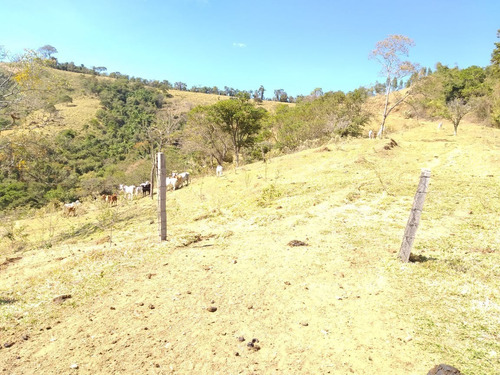 Imagem 2 de 28 de Fazenda 80 Alqueires Sendo 20 Alqueires Mata App, Casa Sede(em Reforma) E Caseiro Agua Nascente Riacho - Fa00019 - 69584449