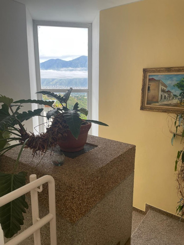 Moderna Y Amplia En Los Naranjos Del Cafetal