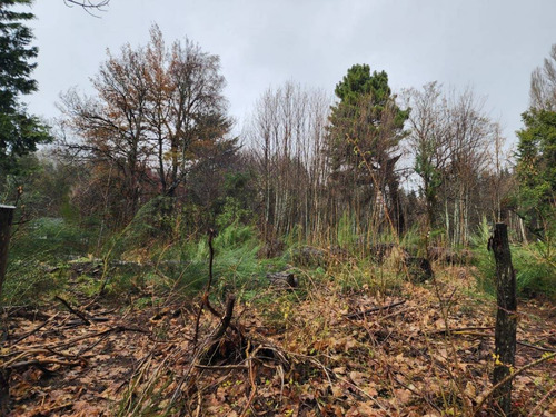 Lote En Venta Bariloche