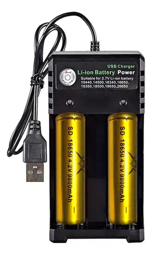Cargador Pilas 18650 Litio-Ion Cargador Baterias 18650 Recargable Li-Ion