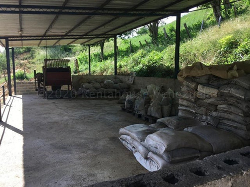 Imagen 15 de 30 de &&& Finca En Venta Aroa Yaracuy Rah 23-4755 // Invierta Seguro Con Rentahouse//