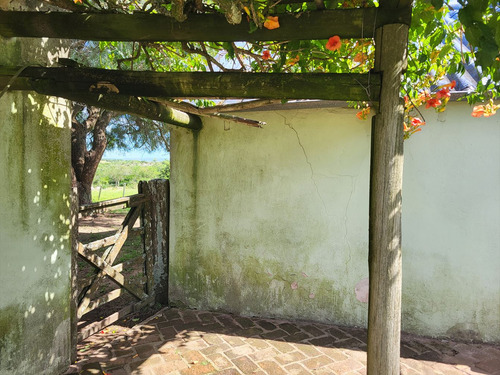 Venta Campo 1.075 Hectareas Sierras De Lavalleja