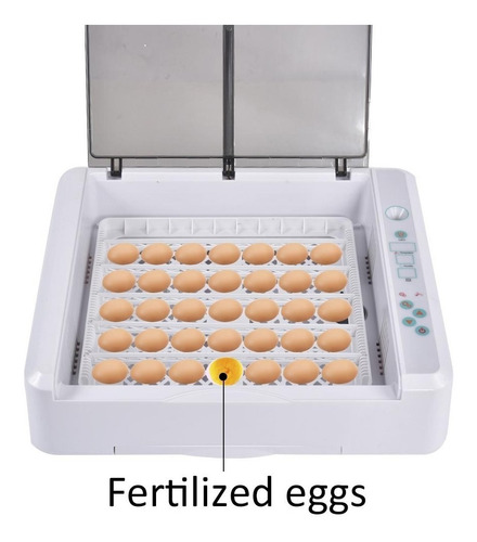 Imagen 4 de 10 de Incubadora Inteligente Automatica De 36 Huevos Jers Import