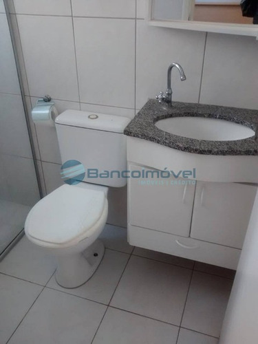 Imagem 14 de 30 de Casas Para Alugar Em Campinas, Casa Para Alugar Em Campinas, Chacaras Para Alugar Em Campinas, Chacara Para Alugar Em Campinas, Apartamentos Para Alug - Ap00609 - 2920459