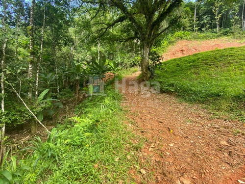 Imagem 13 de 17 de Terreno À Venda No Bairro Moura - Canelinha/sc - 2171t