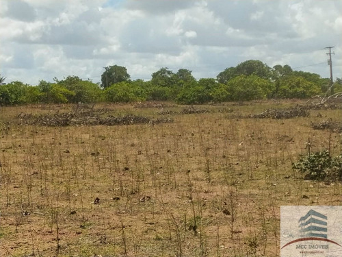 Imagem 8 de 30 de Granja A Venda Em Macaíba
