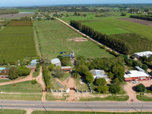 Imagen 6 de 27 de Descubre Una Propiedad Única En El Colorado, Canelones: 2 Casas, 4 Ha Y Galpón