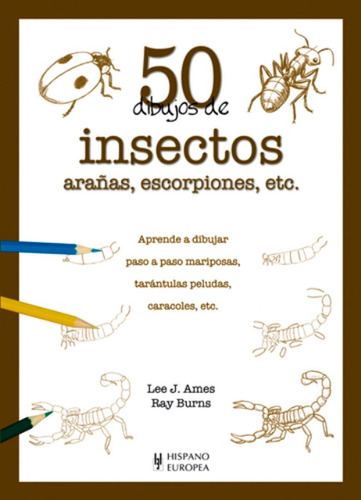 50 Dibjos De Insectos - Lee J. Ames - Hispano Europea