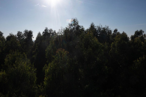 Campo En Venta 9 Hectareas