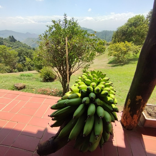 Venta Dapa Casa Finca Para Remodelar A Su Gusto, Sector Miravalle Yumbo Dapa Finca Lote Casa Campestre