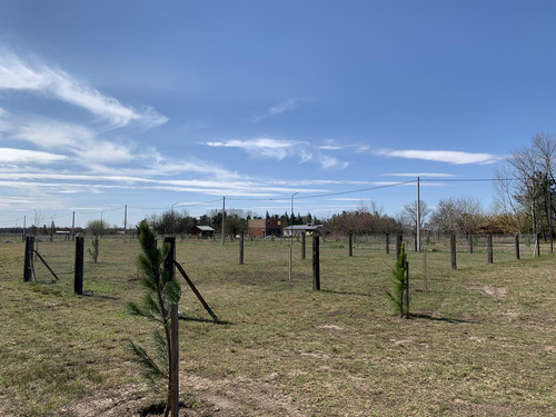 Terreno - Piñero