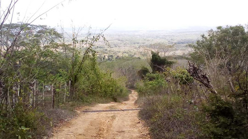 Imagen 30 de 30 de Finca En Mirimire Estado Falcon De 941 Hectáreas