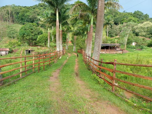 Chácara Com Casa