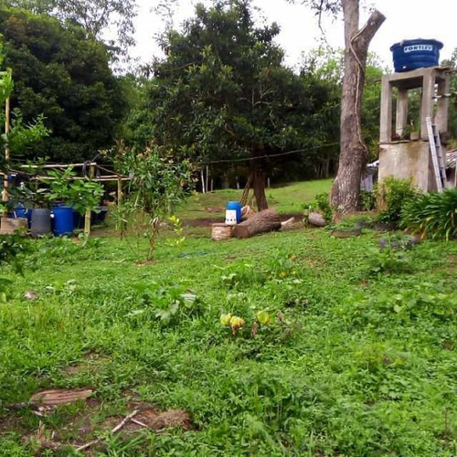 Imagem 2 de 15 de Linda Chácara Em Luis Carlos - Bich30006