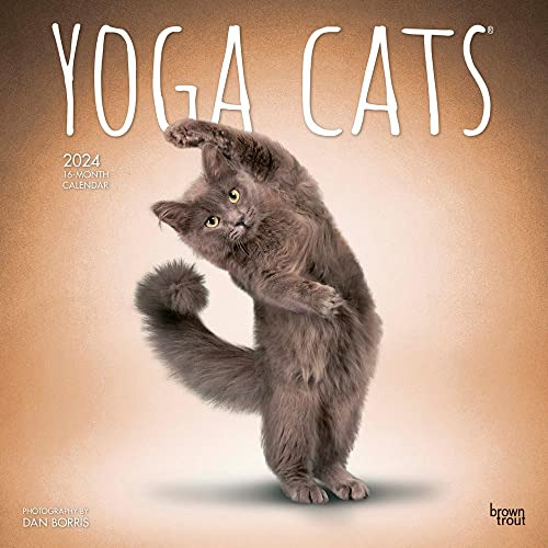 Yoga Cats Official | 2024 Monthly Square Wall Calendar 