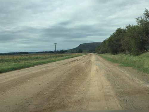 Imagen 2 de 15 de Campo - Balcarce
