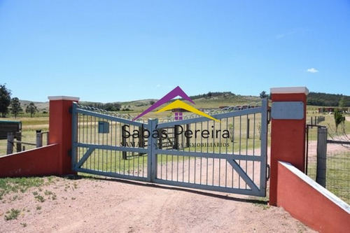 Imagen 8 de 14 de Venta De Chacra En San Carlos- Ref: 40697