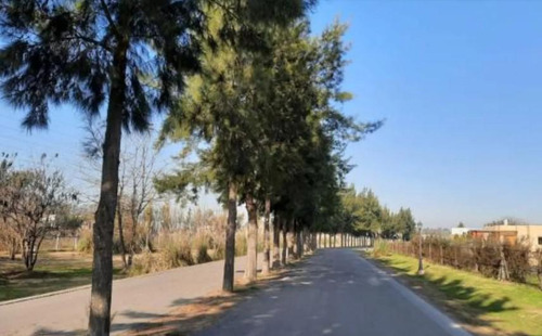 Excelente Lote Central En La Cañada De Pilar. Barrio Los Arces