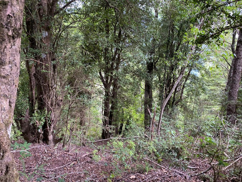 Parcela En El Mirador De La Barda, Con Acceso A Dos Caminos 