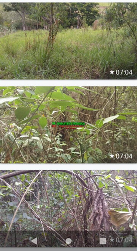 Imagem 2 de 4 de Duas Chácaras Pelo Preço De Uma Em Paraibuna - 2406
