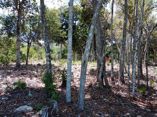 Imagen 11 de 18 de Terreno En Venta Frente A Laguna Chile Verde Cerca De Chetumal Em02021