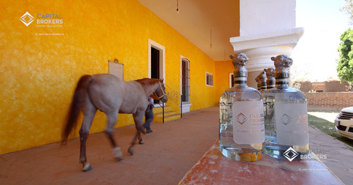 Ex Hacienda La Parreña Del Siglo Xix El Arenal , Jalisco . A 30 Min De Gdl.